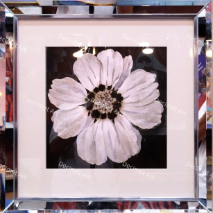 Tranh Khung Gương Hoa 001